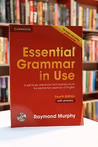 Essential Grammar In Use 4th edition