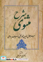 کتاب شرح مثنوی 3