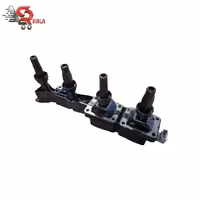 کویل پژو 206 تیپ 5 و 6 برند سایکو