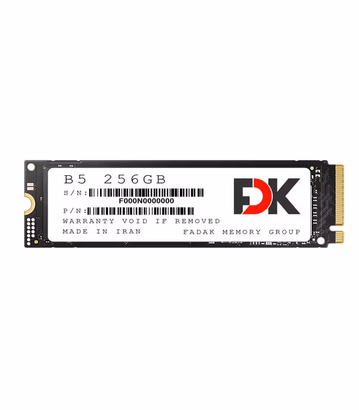 اس اس دی فدک SSD FDK B5 256GB SERIES M.2