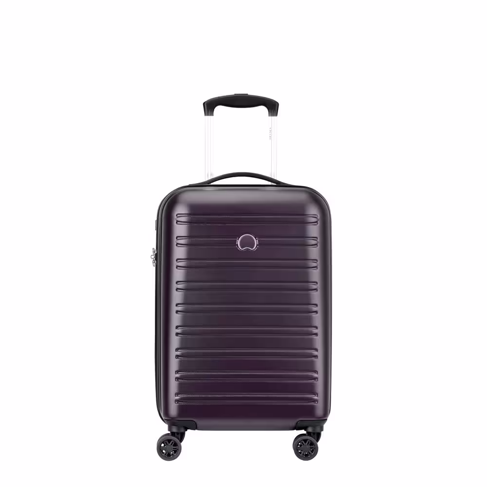 چمدان دلسی مدل سگور