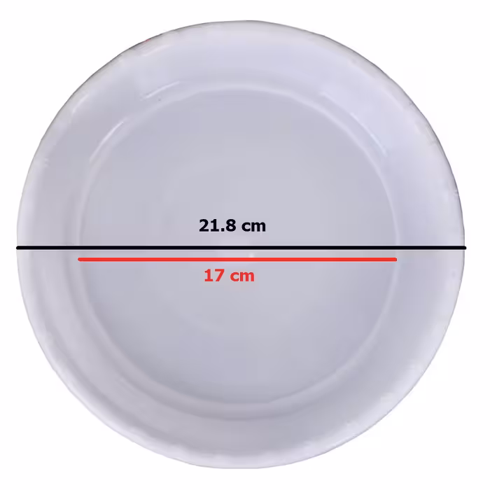 زیرگلدانی مدل p8 - 21.8 cm (17) بسته 6 عددی