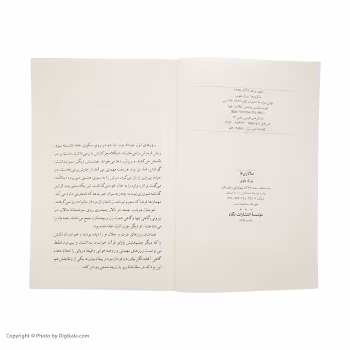 کتاب سالاریها اثر بزرگ علوی نشر نگاه