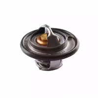 ترموستات ریو (88 درجه)