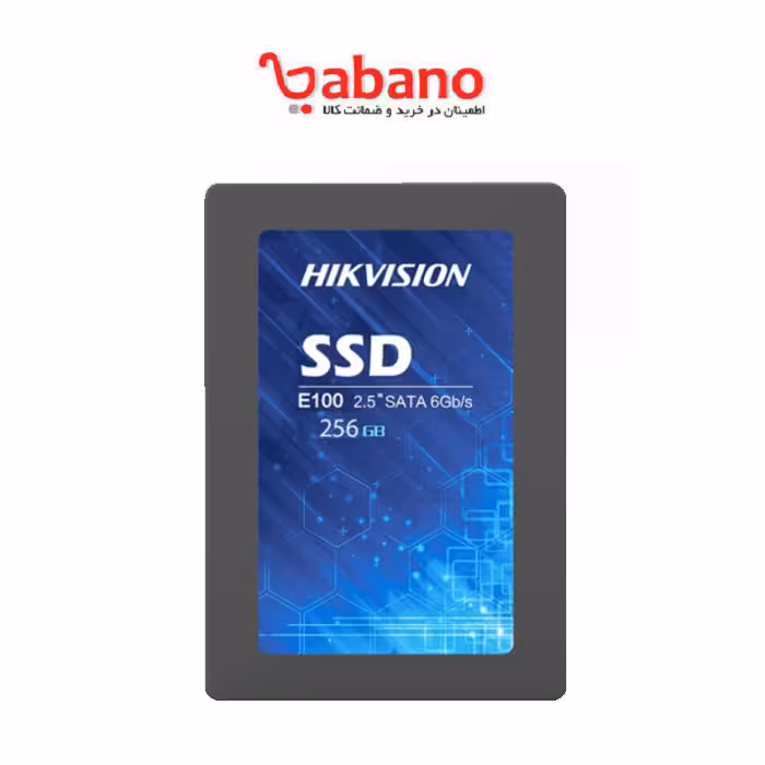 اس اس دی هایک ویژن مدل HS E100 ظرفیت 256 GB