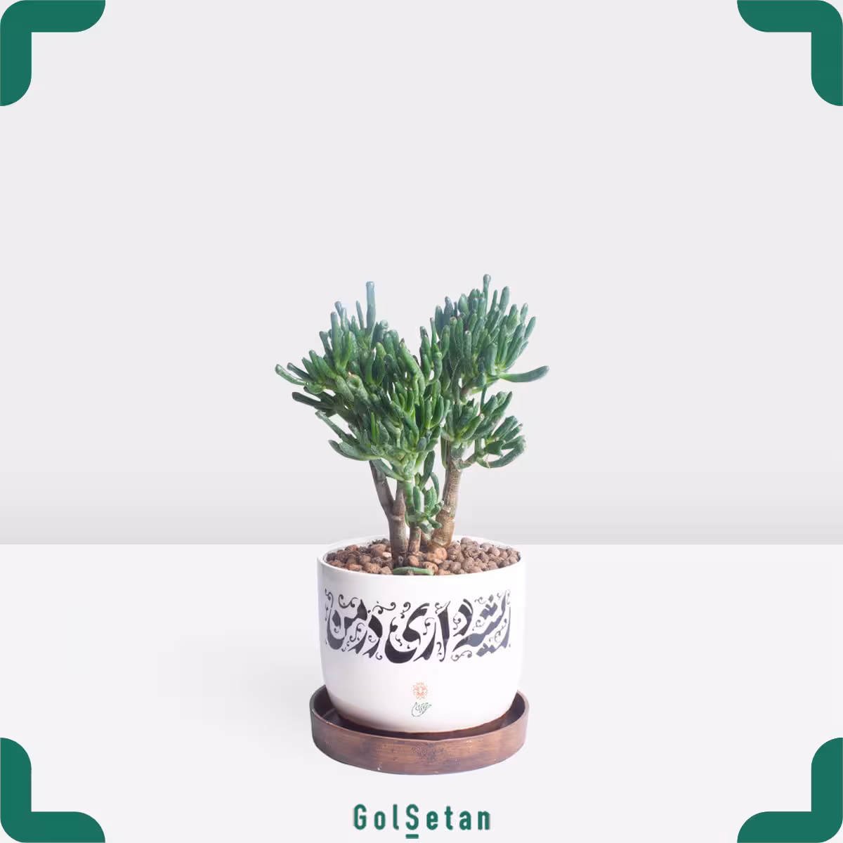سم اسبی با گلدان سرامیک متن دار