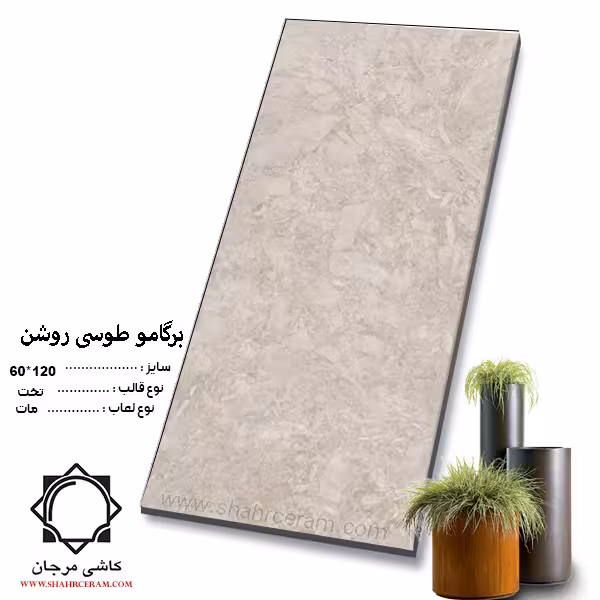 سرامیک bergamo برگامو طوسی روشن 120*60 کاشی مرجان