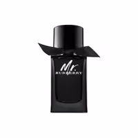 عطر ادکلن باربری مستر باربری ادو پرفیوم | Burberry Mr. Burberry Eau de Parfum