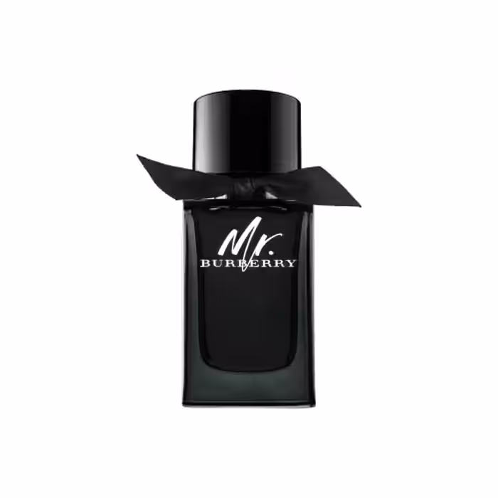 عطر ادکلن باربری مستر باربری ادو پرفیوم | Burberry Mr. Burberry Eau de Parfum