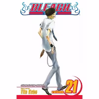 Bleach v21