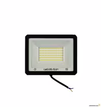 پروژکتور LED روشنایی 50 وات هانیس پرتو نور توس