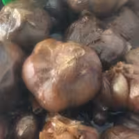 سیر ترشی خانگی 5ساله