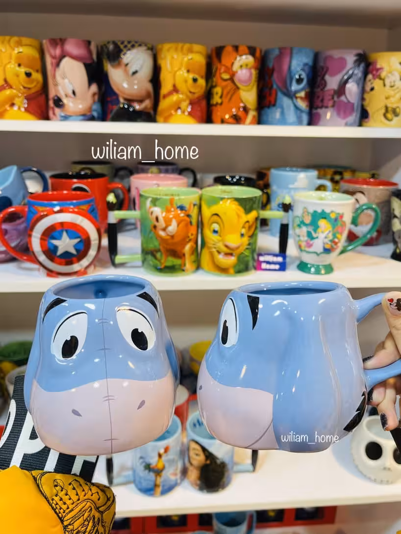 فیس ماگ دیزنی ایور