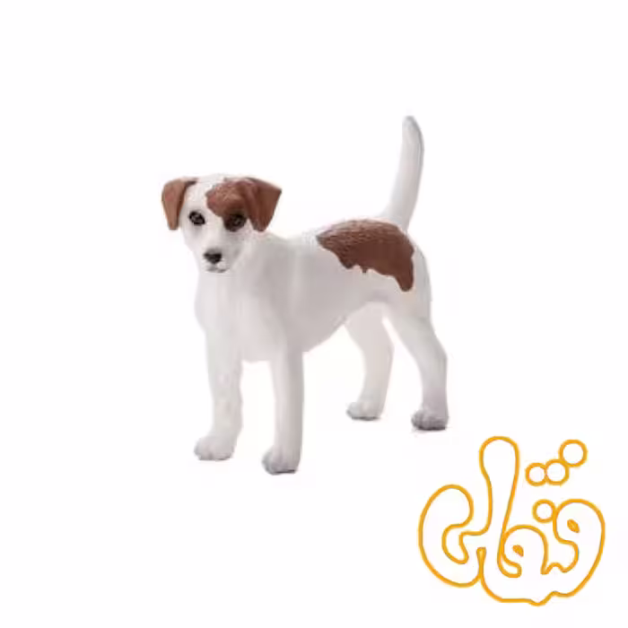 سگ تریر جک راسل Jack Russell Terrier 387286