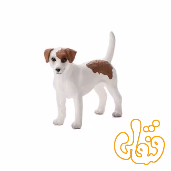 سگ تریر جک راسل Jack Russell Terrier 387286
