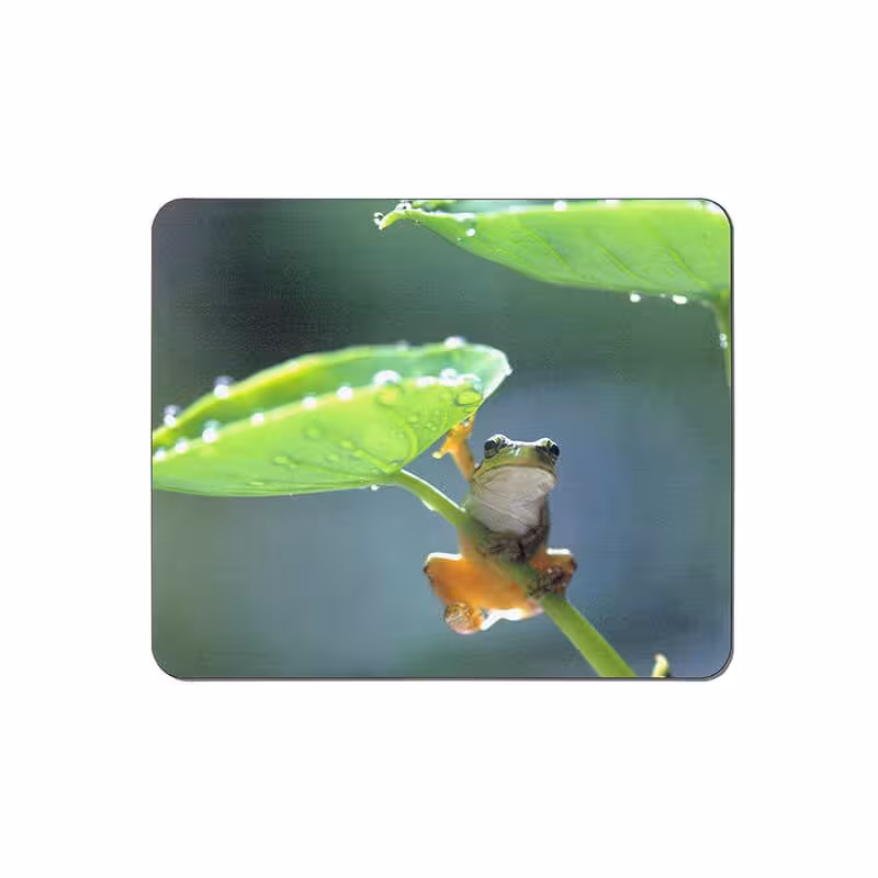 خرید و قیمت ماوس پد طرح قورباغه کد 3669