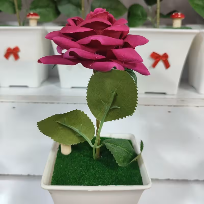 گلدان گل رز خارجی آپارتمانی ( خرید عمده و تکی گلدون گناوه مارکت )