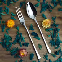 سرویس قاشق چنگال 157 پارچه فیلیکس مدل 170m