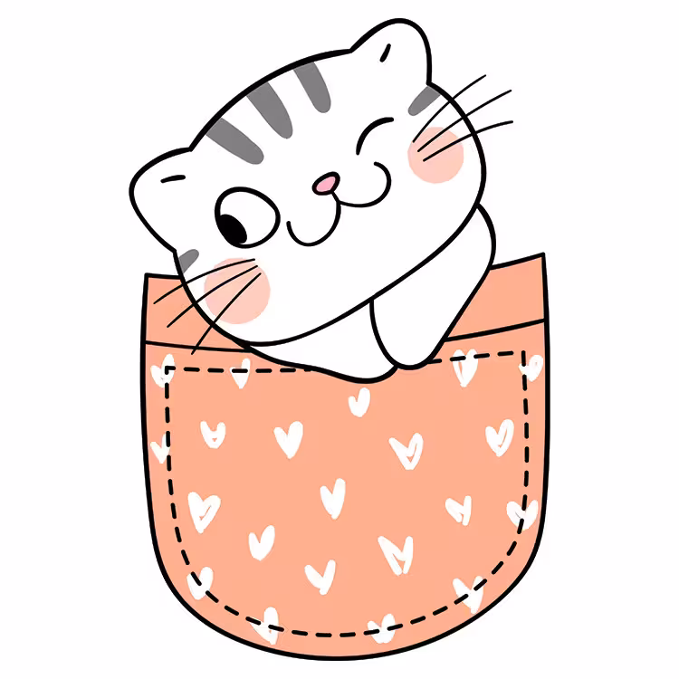 استیکر پارچه و لباس مدل دی تی اف طرح جیبی کد H10.570 مجموعه 5 عددی