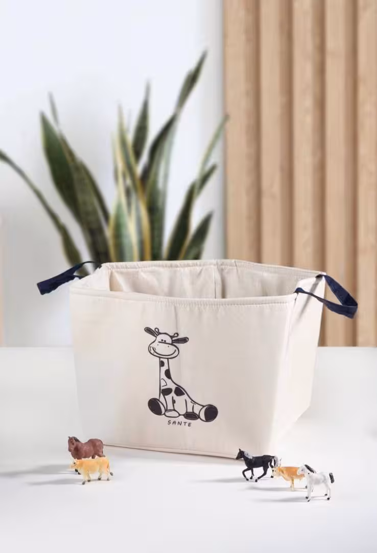 باکس نظم دهنده