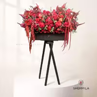 باکس گل موژان