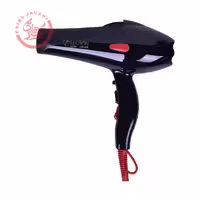 سشوار حرفه ای پرومارون مدل RL-8808