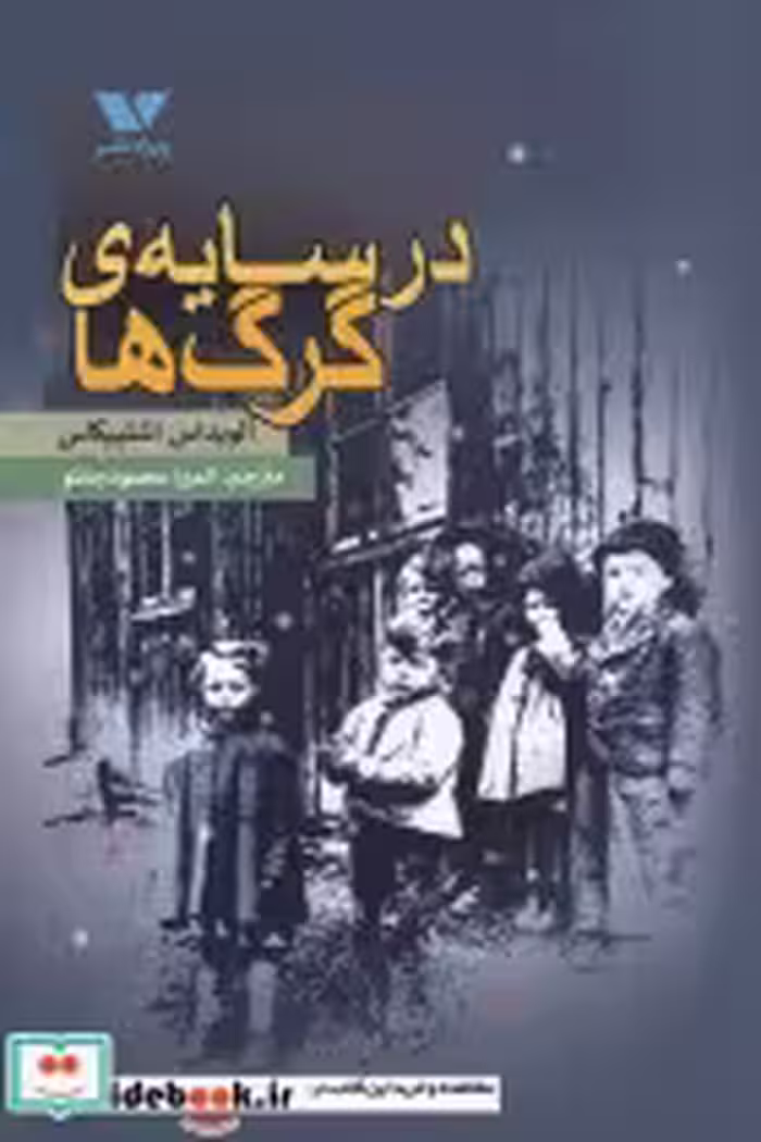 قیمت و خرید کتاب در سایه ی گرگ ها اثر آلویداس اشلپیکاس | ایده بوک