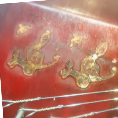 سنتور فراز مدل شور کوک 5 مهر کد A 43