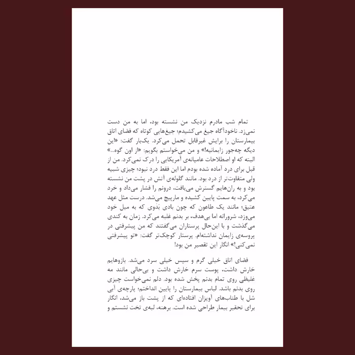 کتاب زیکورا اثر چیماماندا انگوزی آدیشی نشر سیزده
