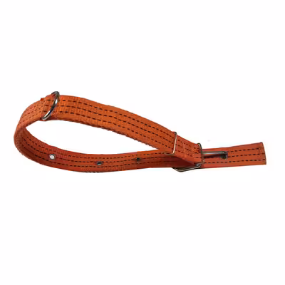 قلاده گردنی سگ مدل N503