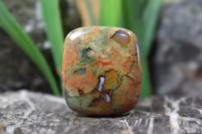 جاسپر جنگل بارانی(ریولیت استرالیا)