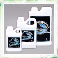 کود همرهد (hammerhead) ادونس