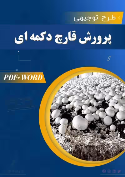 خرید و دانلود طرح توجیهی پرورش قارچ دکمه ای 1404 PDF WORD