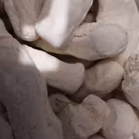 کشک  محلی خراسان یک کیلو اعلا خوشمزه