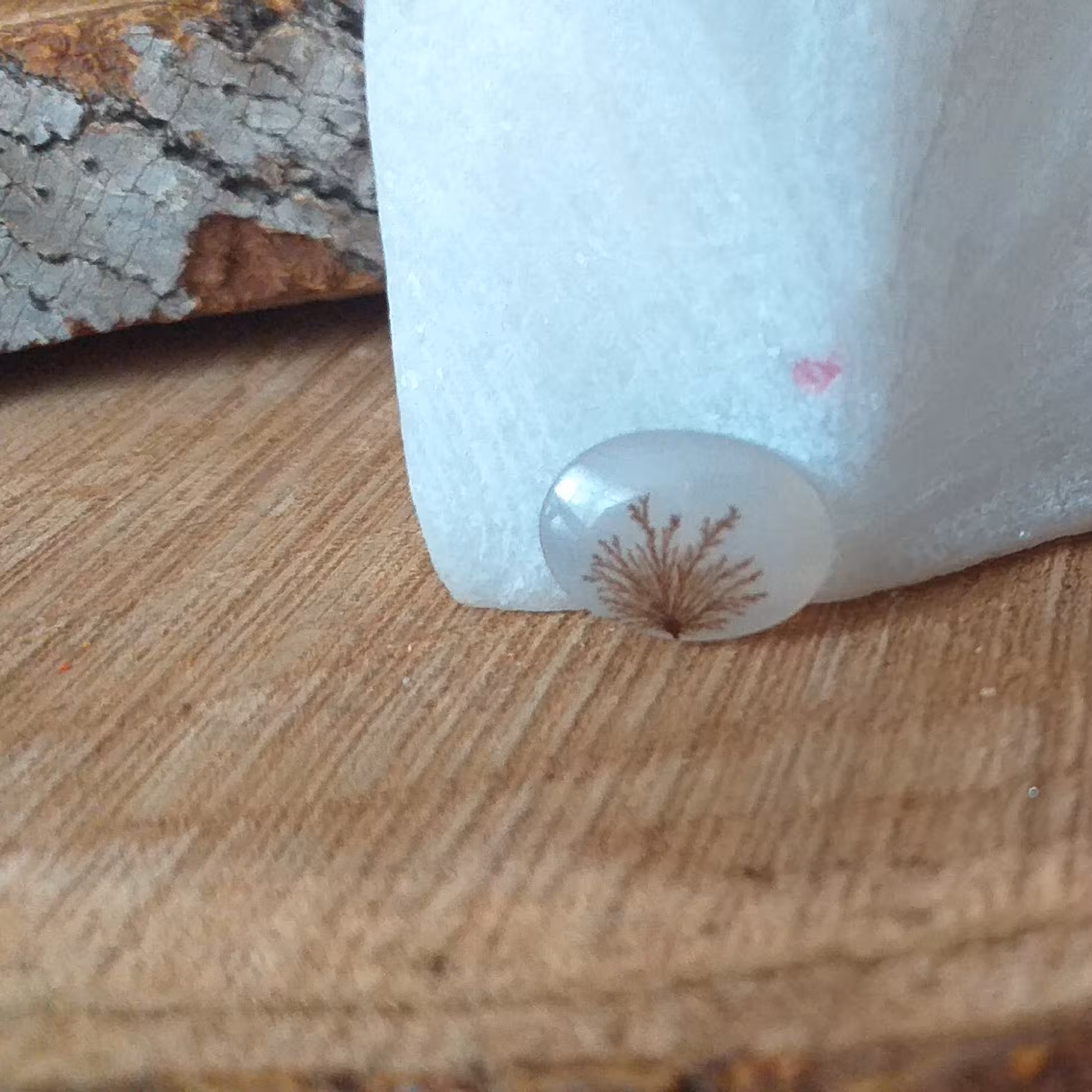 نگین عقیق شجر دامغان یا شجر ایرانی