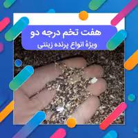 هفت تخم درجه دو ویژه پرنده زینتی 700 گرمی مخلوطی از دانه ها  مخلوط قناری 