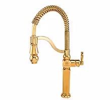 شیر قهرمان مدل ارس طلایی