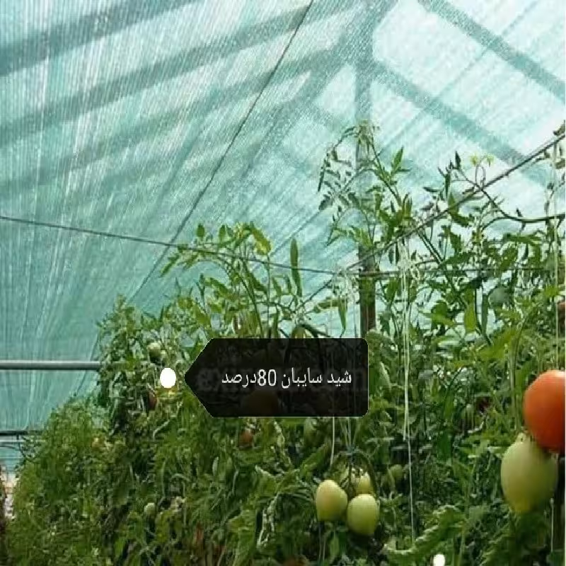 شید سایبان 80درصد 6 در 7  متر دوردوزی شده همراه با حلقه نصب