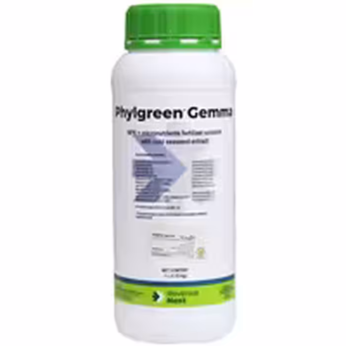 کود فیلیگرین جما رونزا نکست اسپانیا(تریدکورپ)