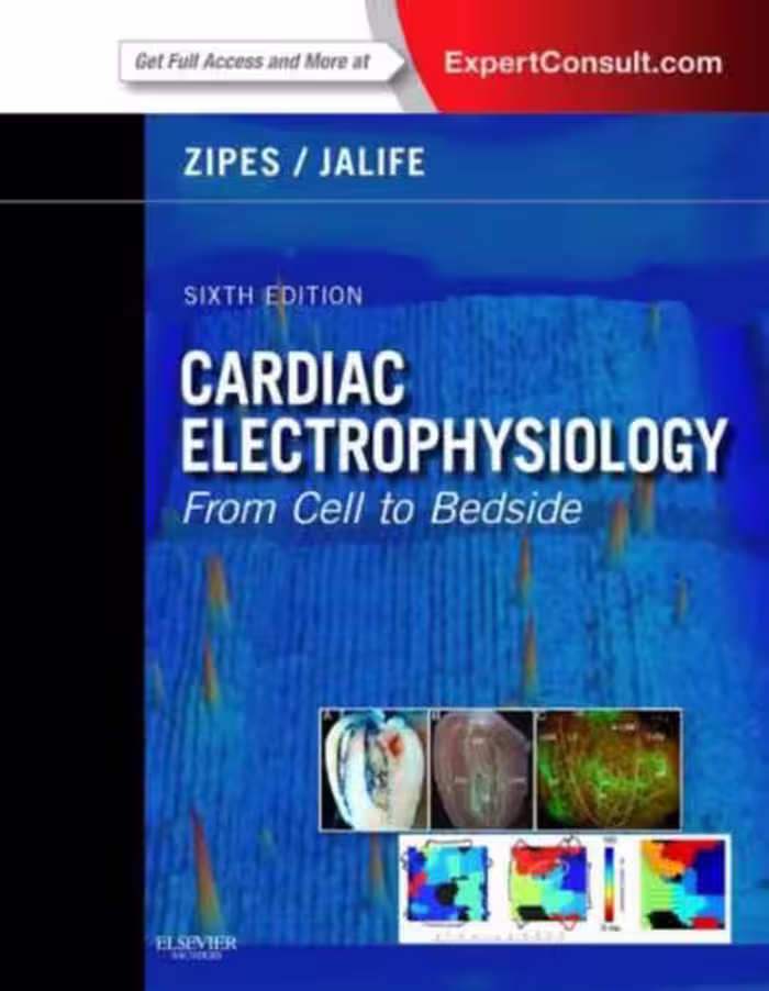 خرید و دانلود نسخه کامل کتاب Cardiac Electrophysiology From Cell to Bedside Part 2