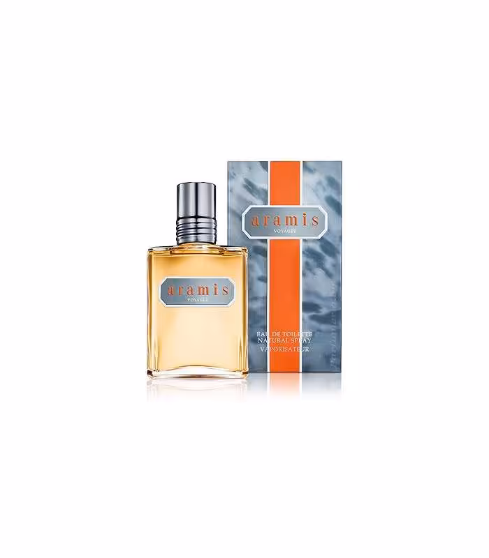 عطر و ادکلن مردانه آرامیس وویجر ادوتویلت Aramis Voyager EDT FOR MEN