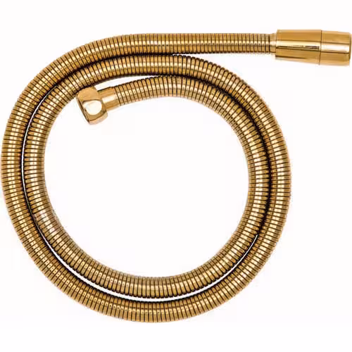 شلنگ توالت طلایی براق قهرمان