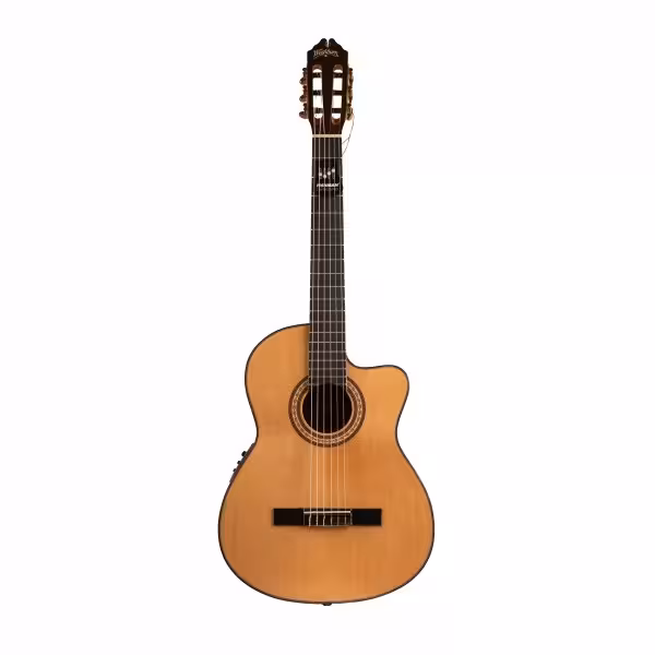 گیتار کلاسیک واش برن مدل بوبینگا کات ویWashburn Classical Guitar