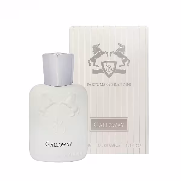 عطر ادکلن جیبی زنانه و مردانه برندینی گالووی BRANDINI GALLOWAY 33 ML