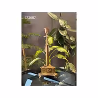 شمعدان تک شاخه ورساچه 173057