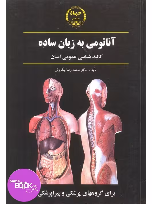 آناتومی به زبان ساده