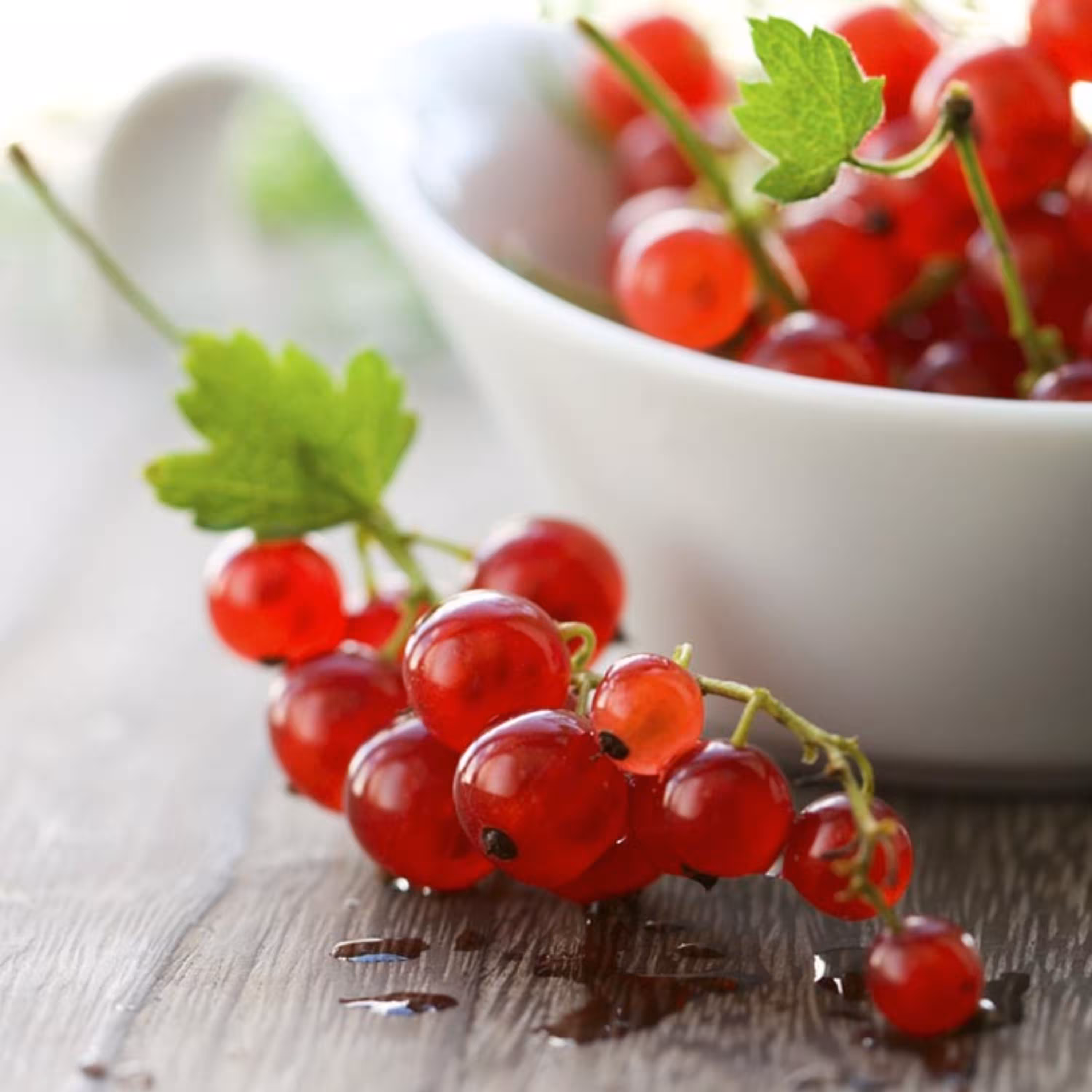 بذر انگور فرنگی (رد کارنت) آمریکایی بسته 10 عددی