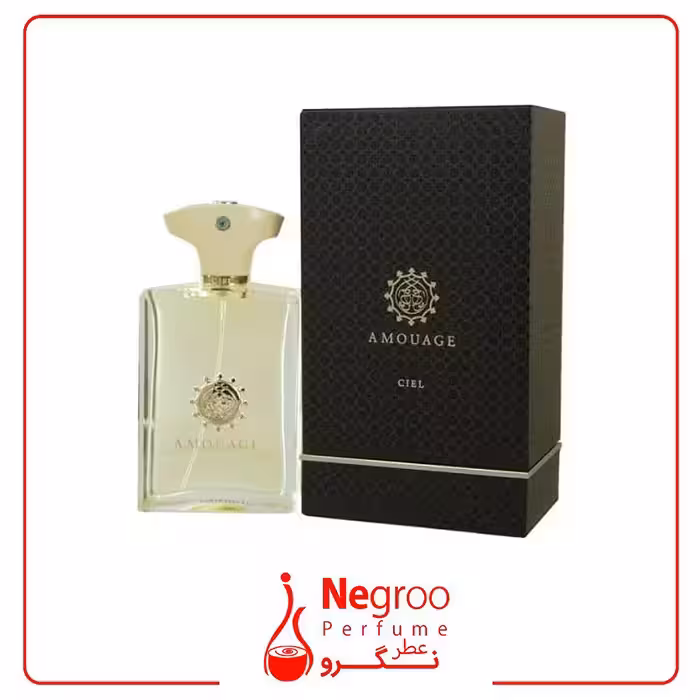 عطر ادکلن آمواج سیل مردانه 100 میل