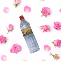 گلاب معمولی خوب عمده 12تایی