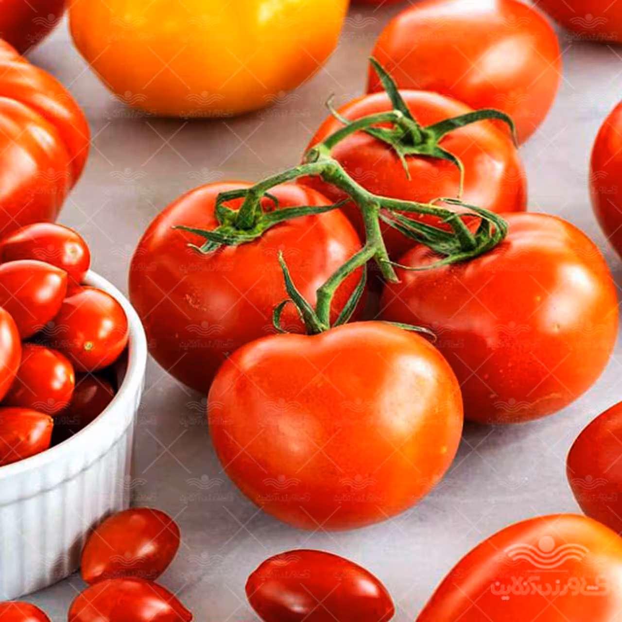 بذر گوجه فرنگی میکس استاندارد خارجی خانگی